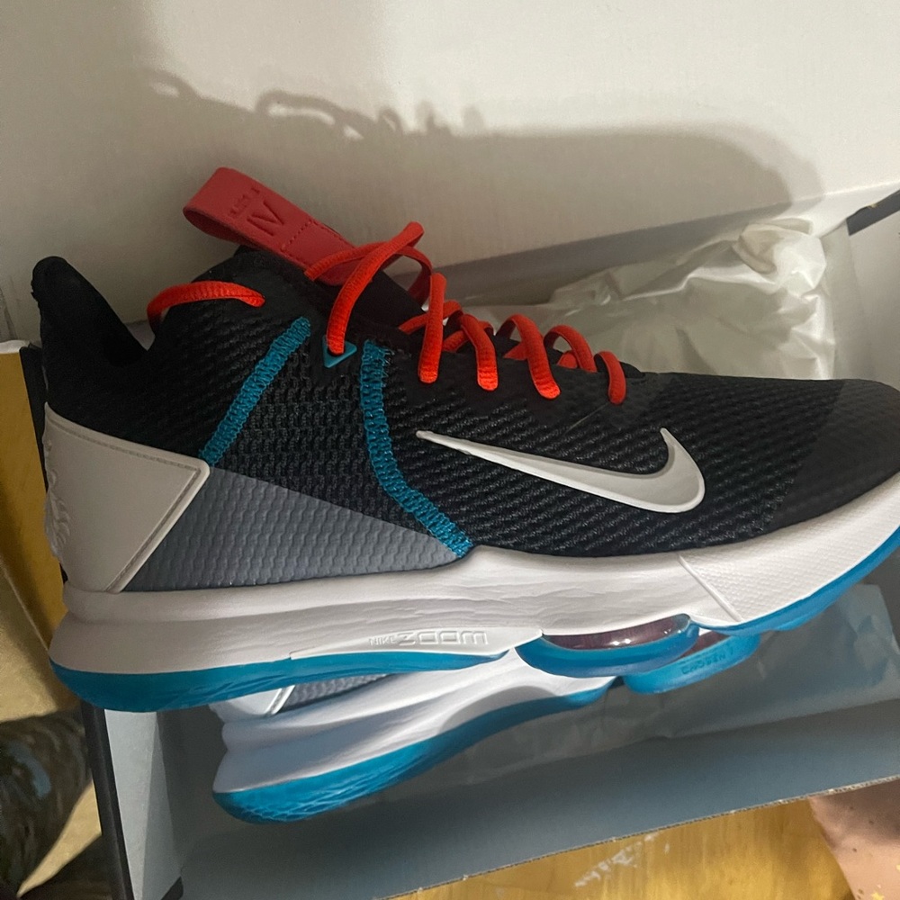 Lebron Witness IV